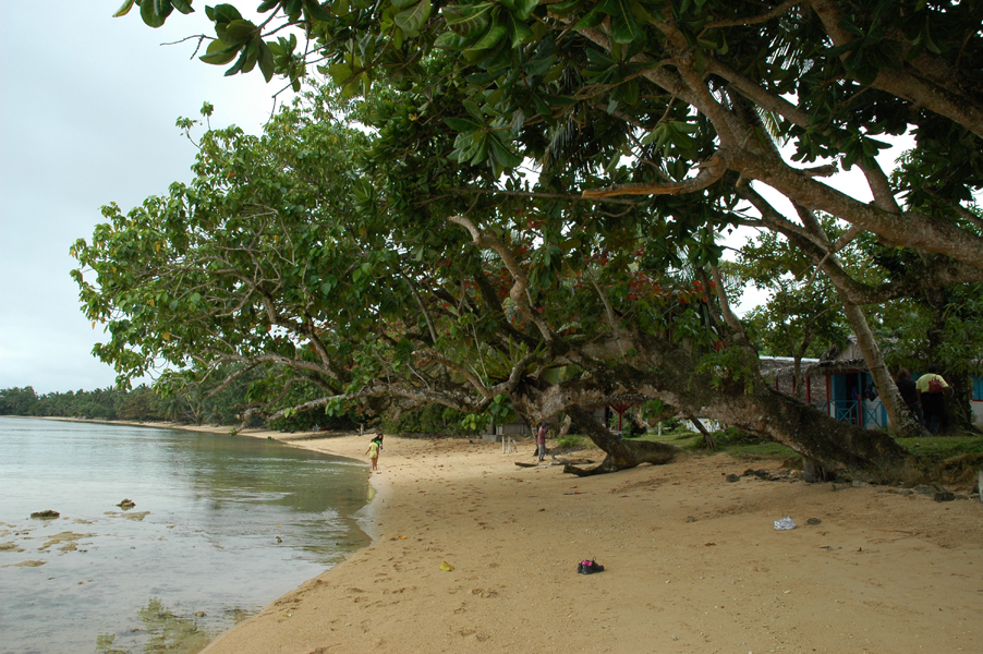 20050811_06