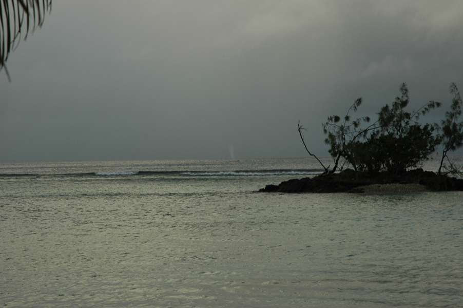 20050811_07