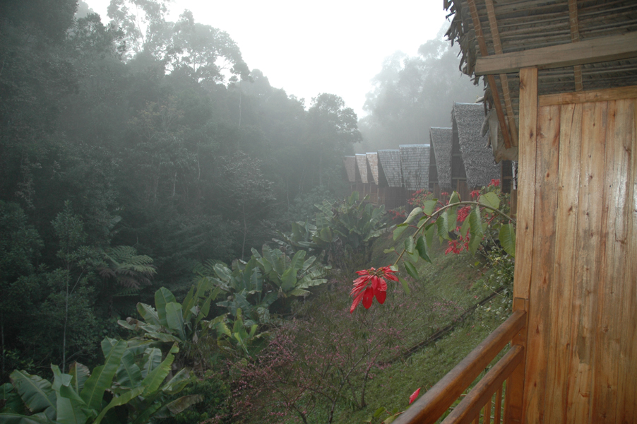 20050814_03