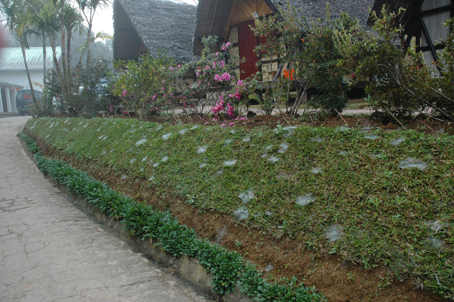 20050814_04