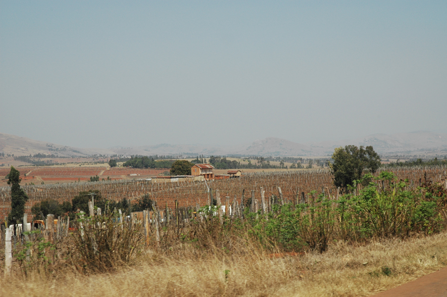20050821_11