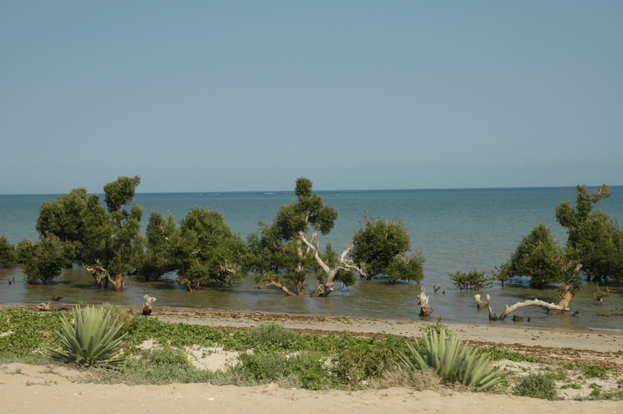 20050824_08