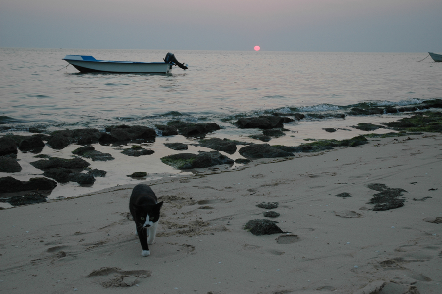 20050824_17