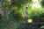 20050811_17