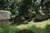 20050811_19