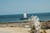 20050825_05