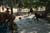 20050826_03