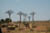 20050828_01