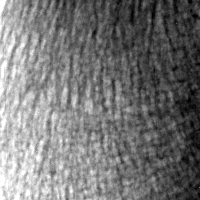 Image temoin