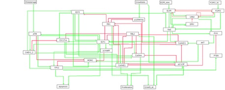 Logical Modelling integrated with experimental datasets