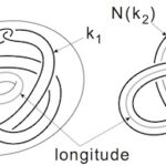 Structure of 3-manifold groups (Morlet Chair Genevieve Walsh)