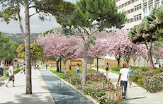 Vue du campus de Luminy