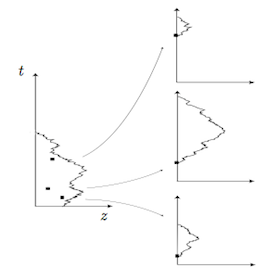 Probability and Biological Evolution