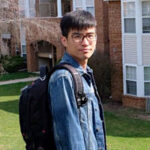 Leading-edge Vortex Formation and Stability: A Vorticity Transport Perspective