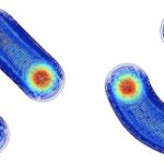 Branched transport and network formation in biology