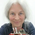 Modelling locomotor dynamics in Drosophila larvae