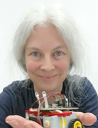 Modelling locomotor dynamics in Drosophila larvae