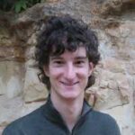 Elasticity, Energy, and Nonlinear Resonance in Insects and FW-MAVs