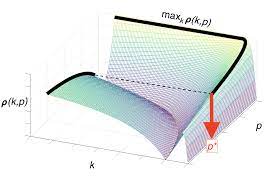 Discrete Fracture Networks (Morlet Chair - Martin Gander)