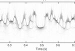 TIFREFUS: Time-frequency representations in functions spaces