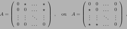 \begin{displaymath}
A=\left(
\begin{array}{cccc}
0&\star&\dots &\star\\
0&0&\do...
...ts&\ddots&\vdots\\
\star&\star&\dots &0
\end{array}\right)\ ,
\end{displaymath}