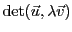 $\displaystyle {\rm det}({\vec{u}},\lambda{\vec{v}})$