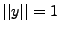 $ \vert\vert y\vert\vert=1$