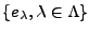 $ \{e_\lambda,\lambda\in\Lambda\}$